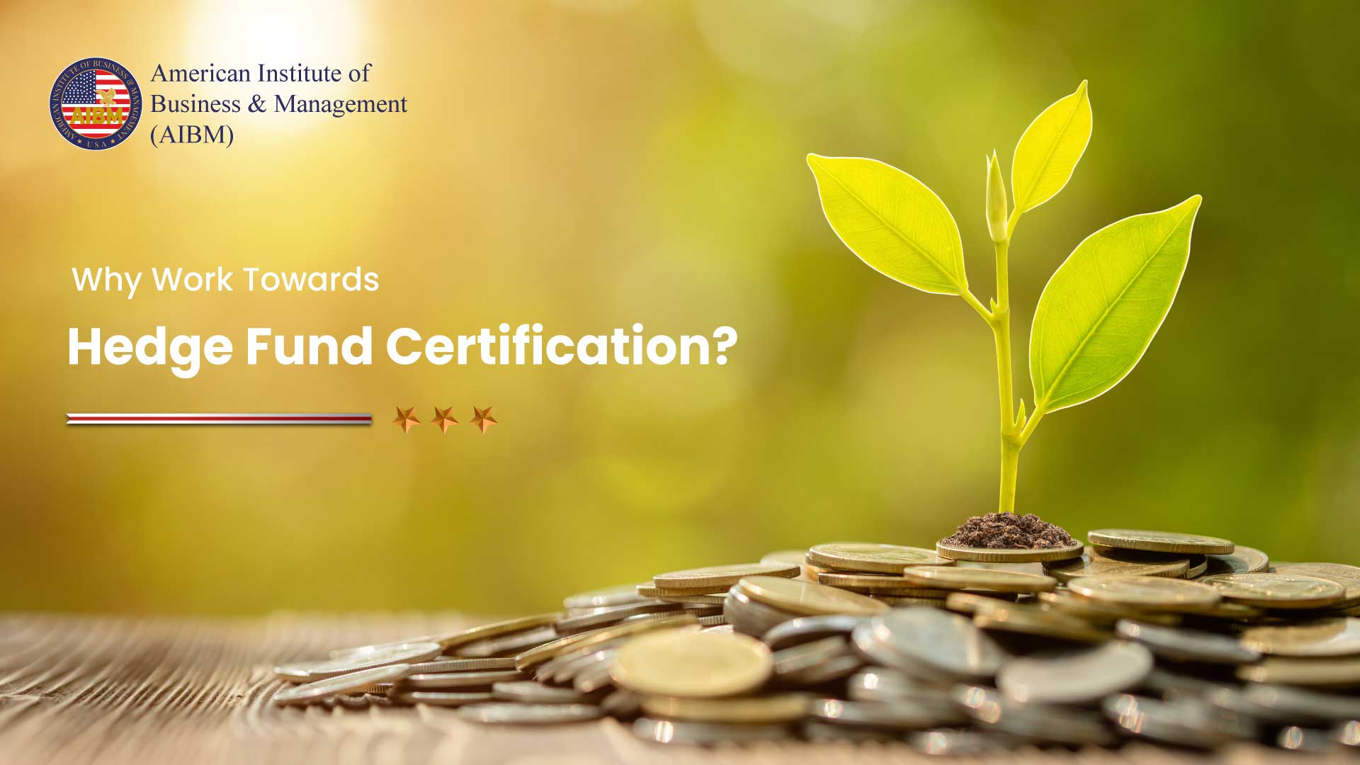 Why Work Towards Hedge Fund Certification? AIBM US